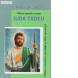 Sfantul apostol si martir IUDA TADEU - Sfantul cauzelor pierdute si fara speranta - Ecaterina Hanganu