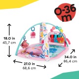 Gimnastică de descoperire muzicală și lingvistică Baby Einstein Ocean Explorers 4 &icirc;n 1 Kickin Tunes Jellyfish Jamboree, roz, pentru v&acirc;rsta de 0 luni ș