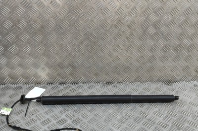 Amortizor haion dreapta FORD KUGA III DFK 2024 OEM: LV4B-S402A54-CA 30982026 foto