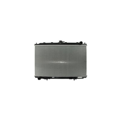 Radiator apa NISSAN ALMERA TINO V10 AVA Quality Cooling DN2220 foto