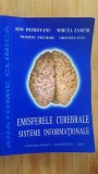 Emisferele cerebrale. Sisteme informationale- I.Petrovanu, M.Zamfir