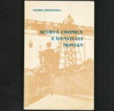 Cumpara ieftin SCURTĂ CRONICĂ A BANATULUI MONTAN - GEORG HROMADKA