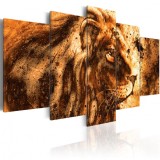 Cumpara ieftin Tablou - Beautiful Lion 100x50 cm