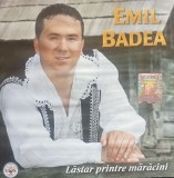 CD Emil Badea Lastar printre maracini