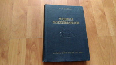 ZOOLOGIA NEVERTEBRATELOR-V.F.NATALI foto