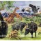 NIGER 2015 - Fauna africana / colita noua