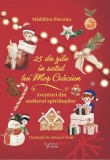 25 de zile &icirc;n Satul lui Moș Crăciun (Calendar advent) - Hardcover - For You