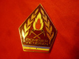 Insigna de Pompier Veteran , metal si email , h=4cm