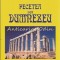 Pecetea Lui Dumnezeu - Gheorghe Raducan