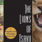 The Lions of Tsavo: Exploring the Legacy of Africa&#039;s Notorious Man-Eaters