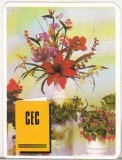 Bnk cld Calendar de buzunar 1995 - CEC