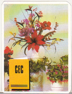 bnk cld Calendar de buzunar 1995 - CEC foto