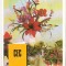 bnk cld Calendar de buzunar 1995 - CEC