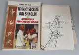 TEHNICI SECRETE DIN SHAOLIN - LIVIU TILICA