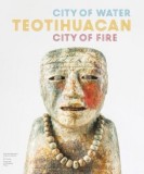 Teotihuacan: City of Water, City of Fire, 2017