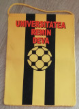 M3 C7 - Tematica cluburi sportive - handbal - Universitatea Remin - Deva
