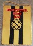 D9 M5 16 - fanion - sport - handbal - Universitatea Remin - Deva