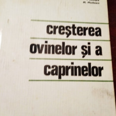 CRESTEREA OVINELOR SI A CAPRINELOR - A. Pop