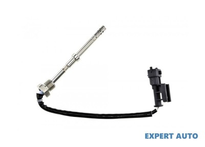 Senzor temperatura gaze dpf Opel Antara (2006-&amp;gt;)[L07] #1 foto