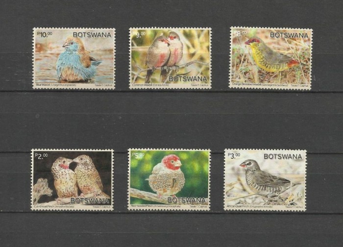 BOTSWANA 2024 FAUNA PASARI