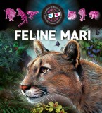 Feline mari 3D - Hardcover - Kreativ