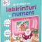 Activitati cu labirinturi si numere. Invatare prin joc 4-7 ani