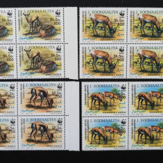 SOMALIA-ANIMALE-WWF-4x4 V-Neobliterate**SOM 134A