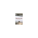Melancholy Order: Asian Migration and the Globalization of Borders