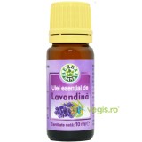 Ulei Esential De Lavandina (Lavanda) 10ml