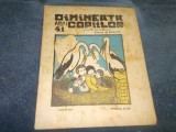 REVISTA DIMINEATA COPIILOR NR 41 1924