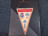 Fanion Dinamo - Dinamo Tirana