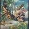 Togo 2012 - Fauna - Fluturi, Colita, MNH