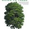 The Sibley Guide to Trees