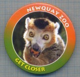 AX 615 INSIGNA -NEWQUAY ZOO - GET CLOSER