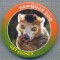 AX 615 INSIGNA -NEWQUAY ZOO - GET CLOSER