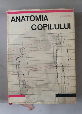 Anatomia copilului - A. Andronescu foto