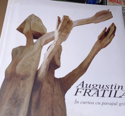 IN CURTEA CU PAVAJUL GRI AUGUSTIN FRATILA foto