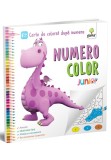 Cumpara ieftin NumeroColor &bull; Junior Plus
