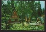 CPIB 22276 - CARTE POSTALA - BAILE HOMOROD. IZVOARELE BORVIZ