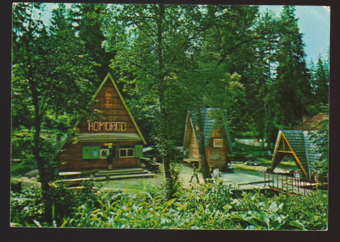 CPIB 22276 - CARTE POSTALA - BAILE HOMOROD. IZVOARELE BORVIZ