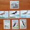 FOROYAR/FERO(Teritoriu Danez)-&#039;&#039;FAUNA-PASARI ,ETC&#039;&#039;-7val.-MNH-NESTAMP