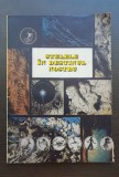 Stelele &icirc;n destinul nostru. Zolar. Cartea cunoștințelor străvechi