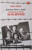 FRANTURI DINTR-O VIATA. DRUMUL LA SI DE LA AUSCHWITZ-HEDI FRIED