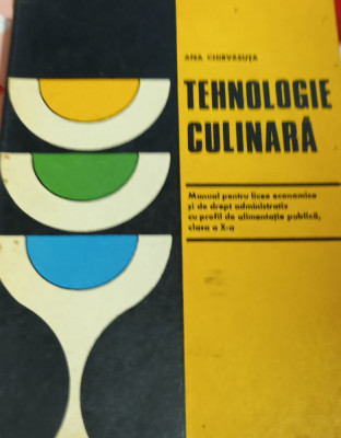 TEHNOLOGIE CULINARA Ana Chirvasuta foto