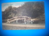 HOPCT 195 R LAC DE PESTI-BAILE FELIX -JUD BIHOR -NECIRCULATA