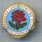 AX 306 INSIGNA BOWLING-PASADENA LAWN -BOWLING CLUB -CALIFORNIA - SUA