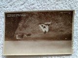 CARTE POSTALA , Reproducere arta, Izbanda painii , circulata 1911, Printata