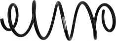 SACHS 991 115 Arc spiral