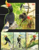 MALAYSIA 2024 FAUNA PASARI PASAREA RINOCER