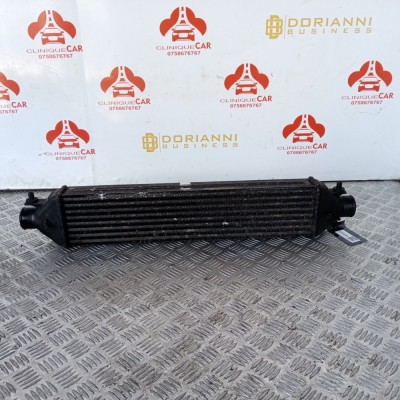 Radiator Intercooler Fiat Lancia Abarth Alfa Romeo foto